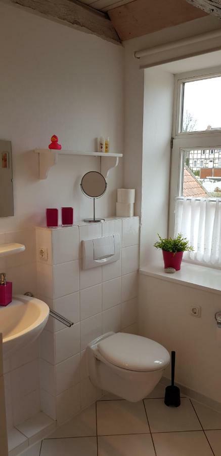 Wipperaublick In Der Oldenstaedter Wassermuehle 于尔岑 外观 照片
