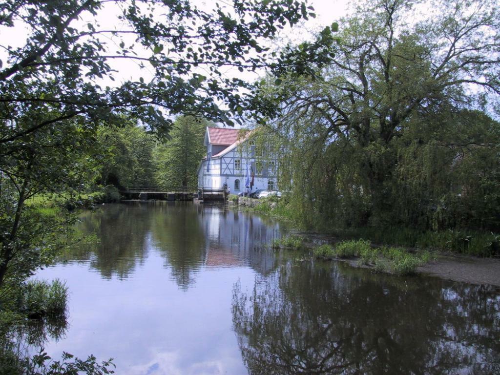 Wipperaublick In Der Oldenstaedter Wassermuehle 于尔岑 外观 照片